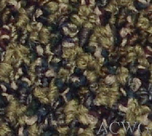 Clarity Tile